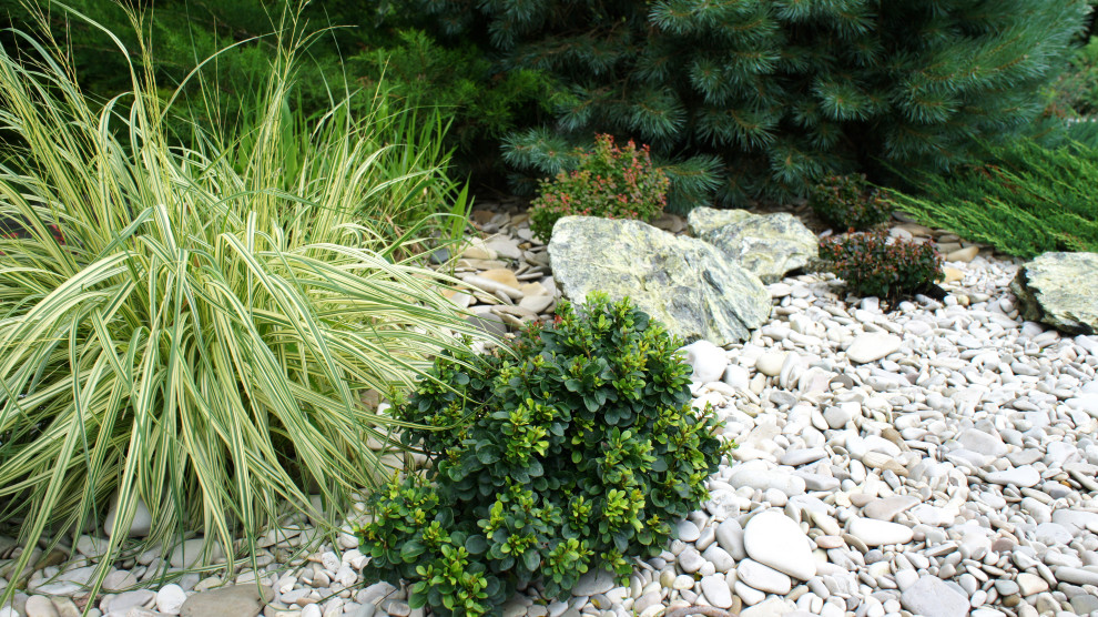 Цветники и композиции крупным планом