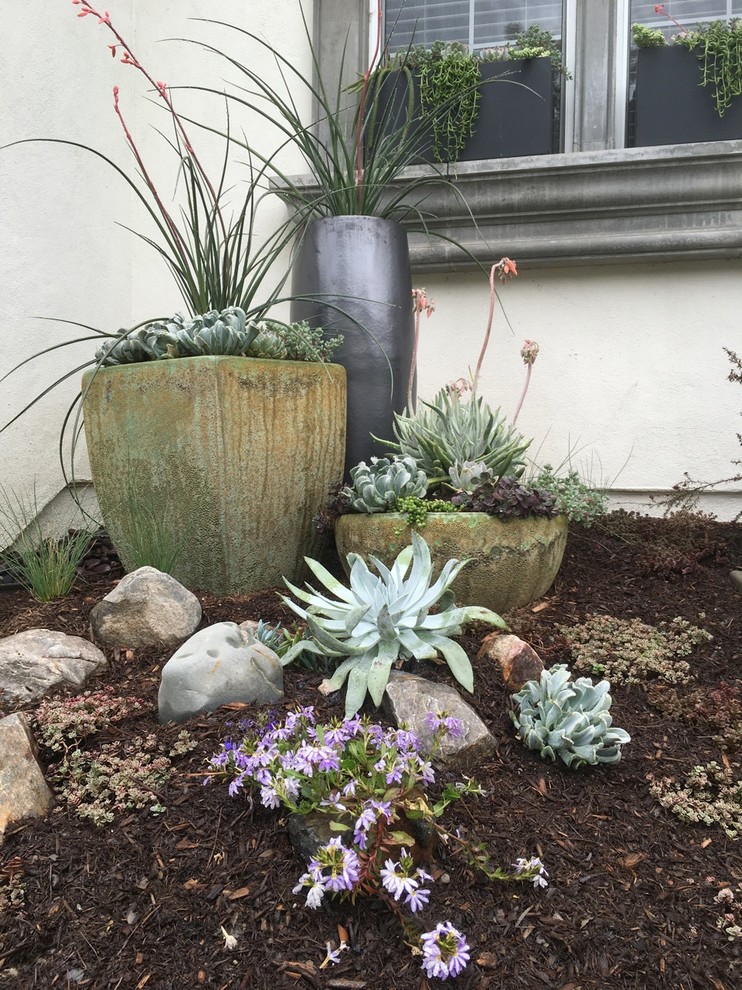 Inspiration for a mid-sized traditional front yard full sun xeriscape in Orange County with a container garden and mulch.