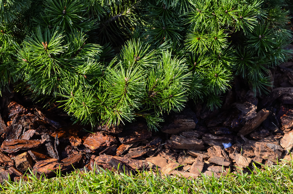 Избушка на опушке