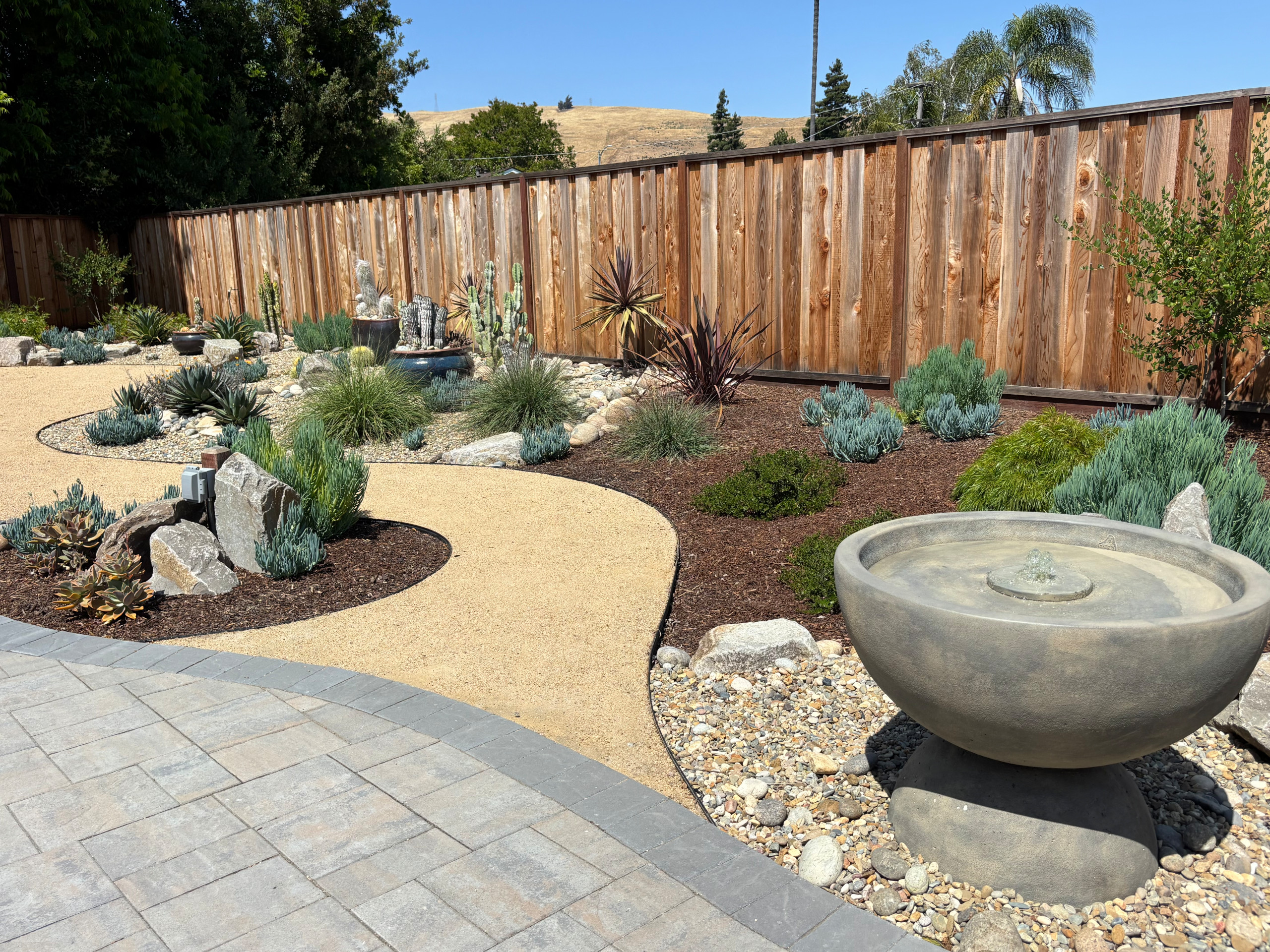 Sunny Fremont oasis