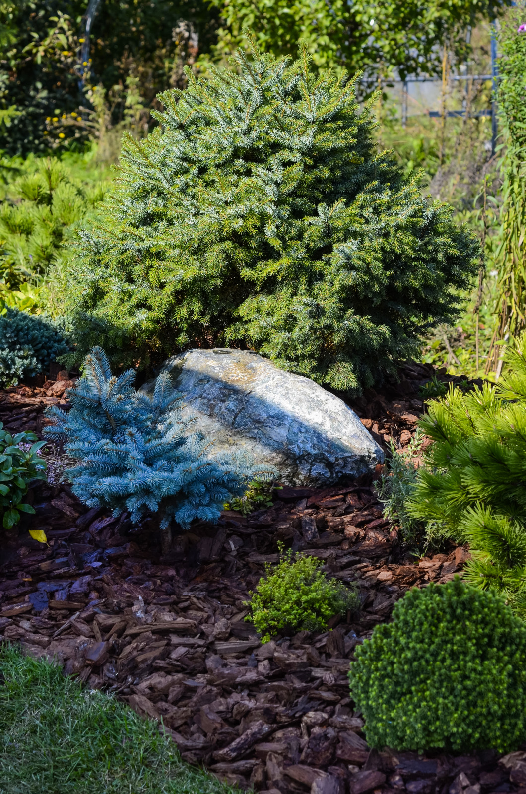 Избушка на опушке