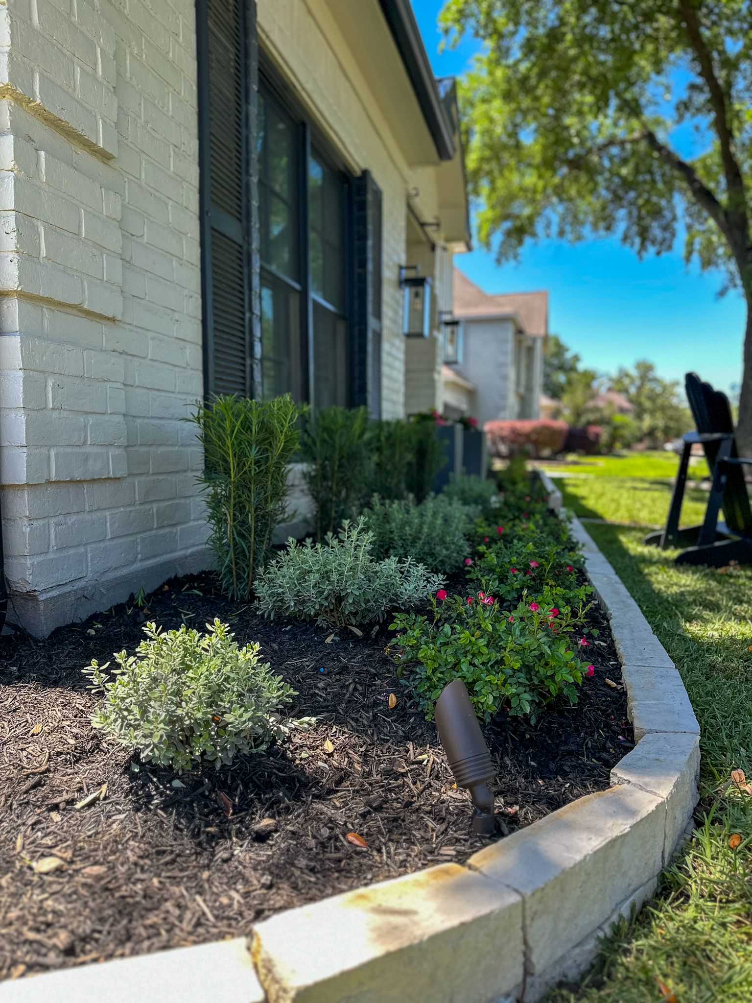 Front and Back yard makeover in Del Monte HTX