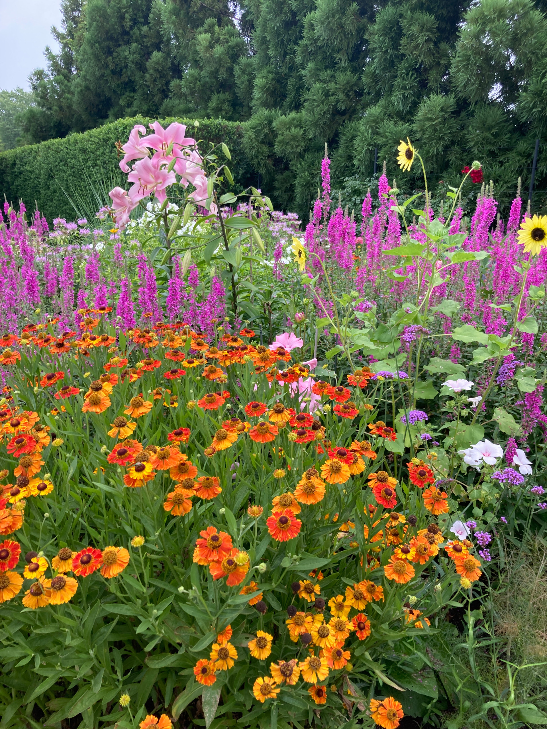 Sagaponack Garden Borders
