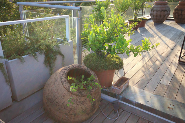 Skyline marino contemporary-deck