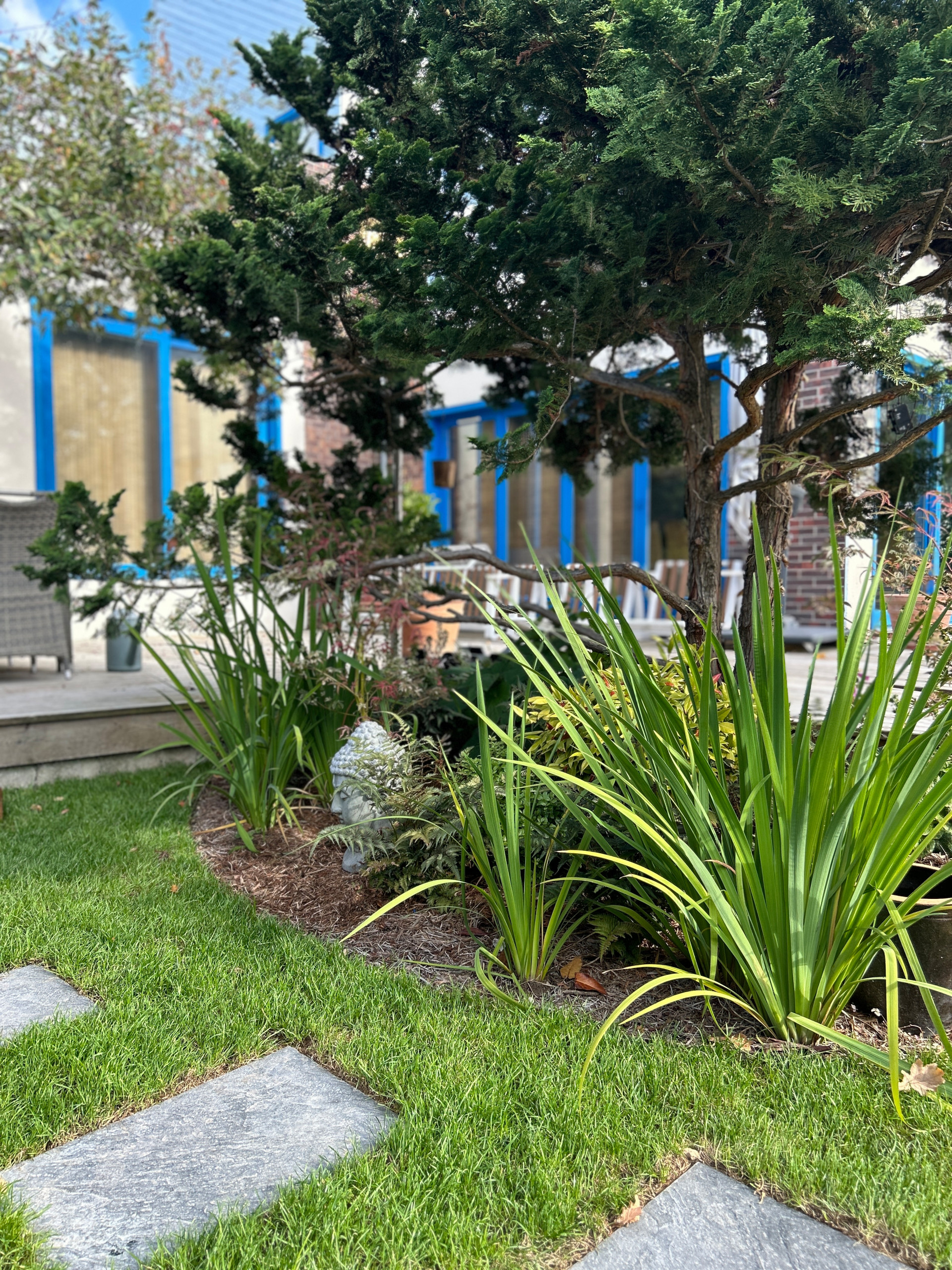 Jardin en Pots : Un Écrin de Nature