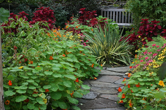 Vegetable Gardens - Traditional - Garden - New York - by ...