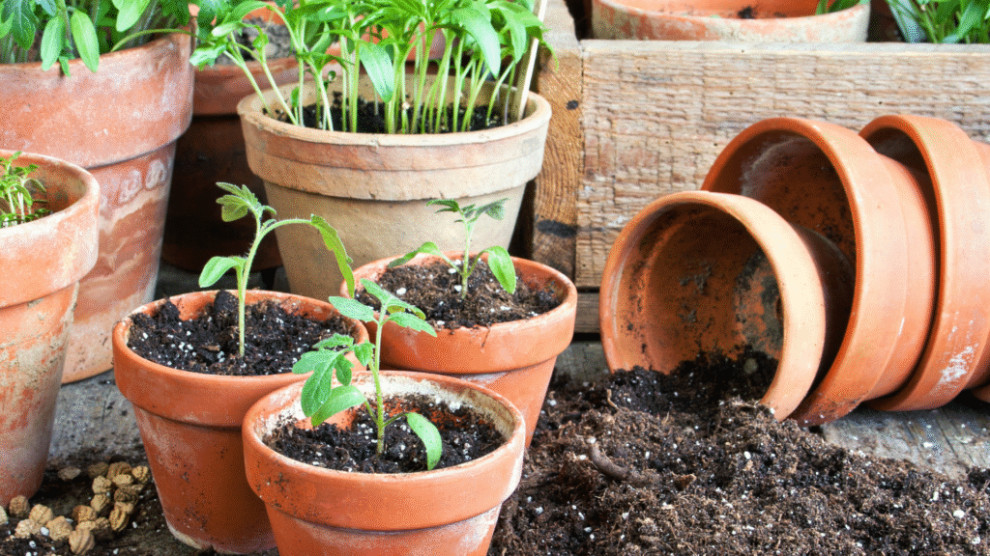 Inspiration for a farmhouse landscaping in Other.