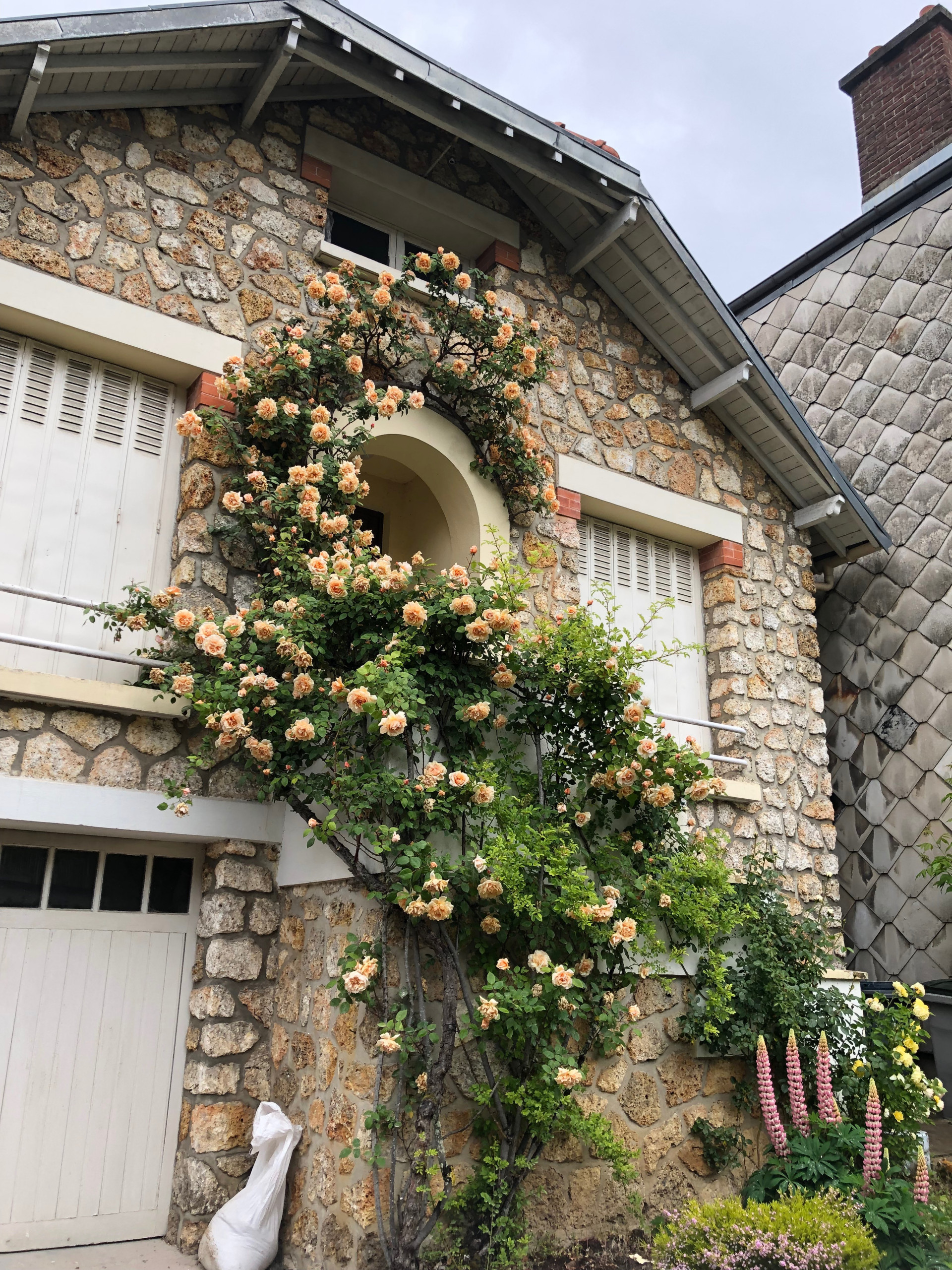 Surélévation et rénovation d'une maison individuelle