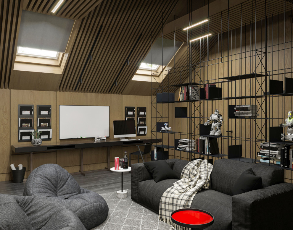 Комната подростка, чердак.