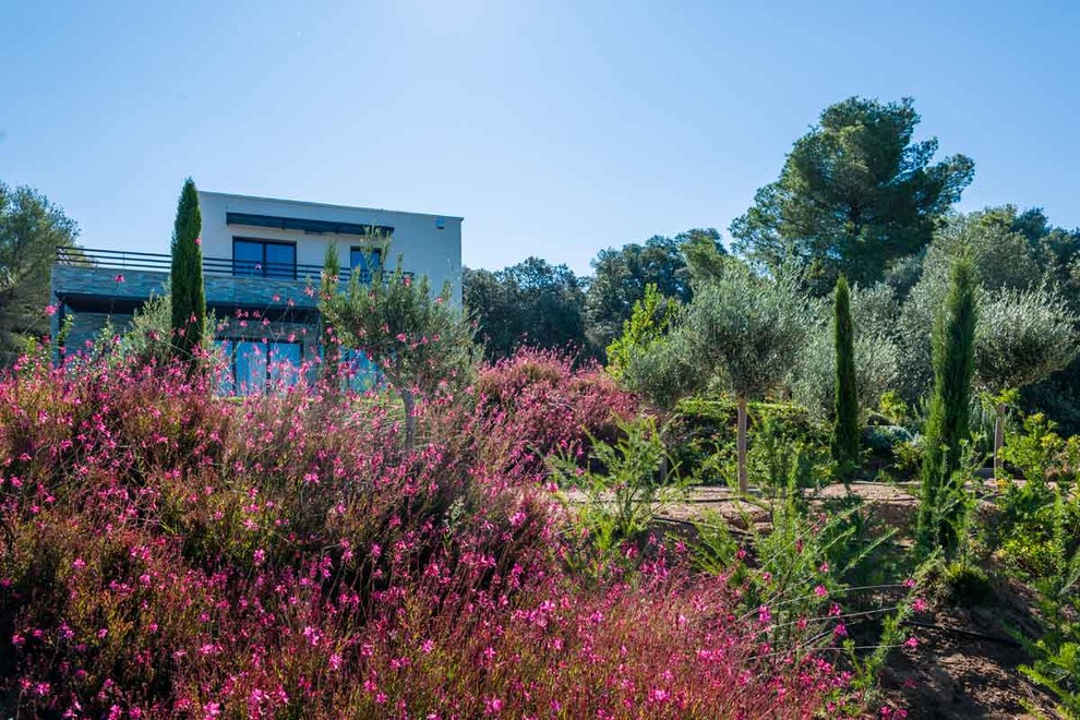 Inspiration for a mediterranean garden in Montpellier.