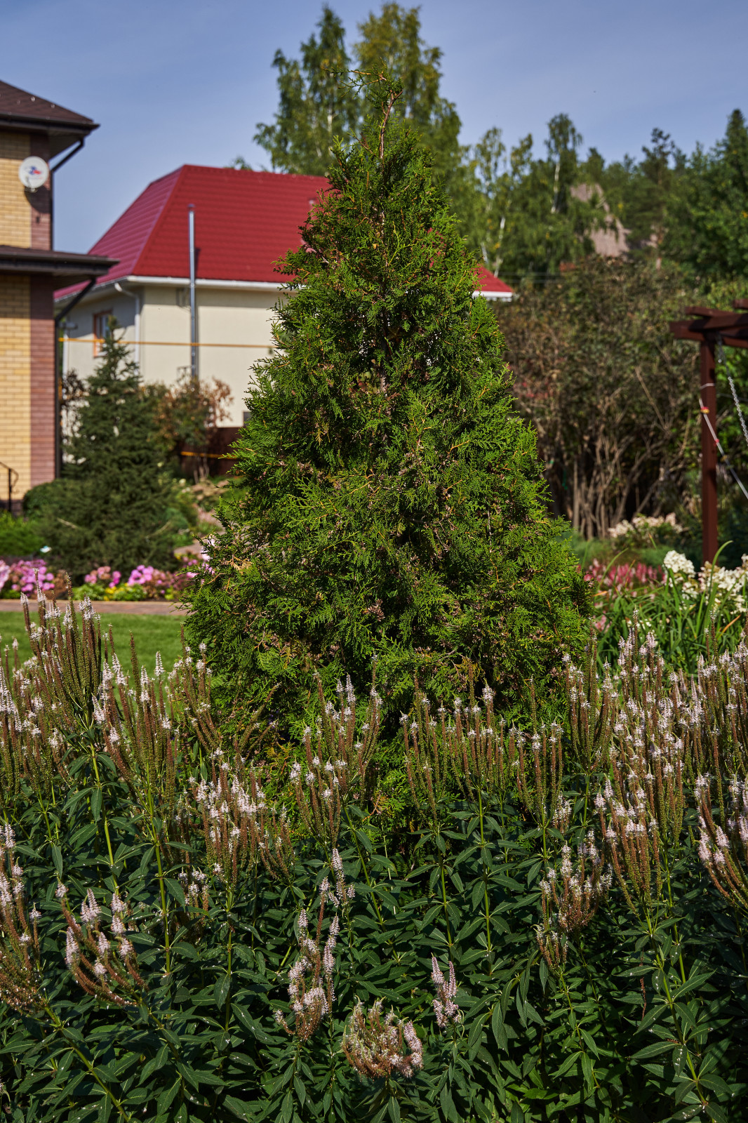 Сад в розовой дымке