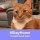 clare_mclean34