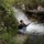 jacqueline_bambenek