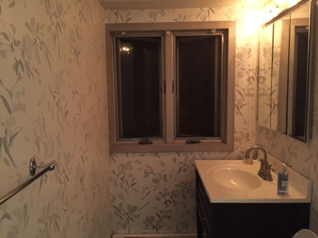 Bathroom Facelift