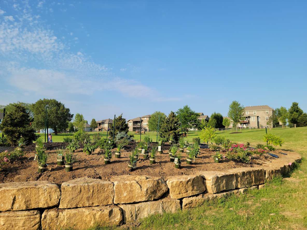 Pasture Pool