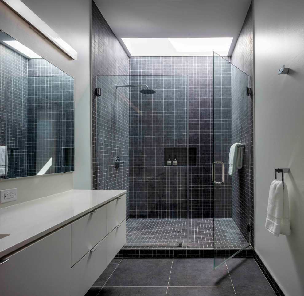 This is an example of a modern bathroom in Houston.