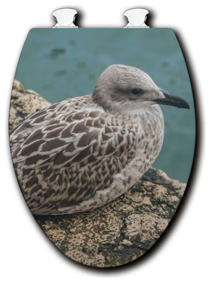 White Toilet Seat, Song of the Seabird Beach Style Toilet Seats