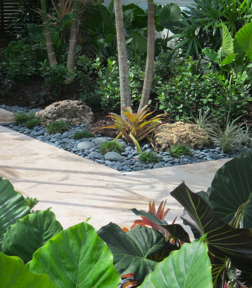 Front yard tropical garden South Florida - Contemporary ...