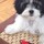 webuser_9453695