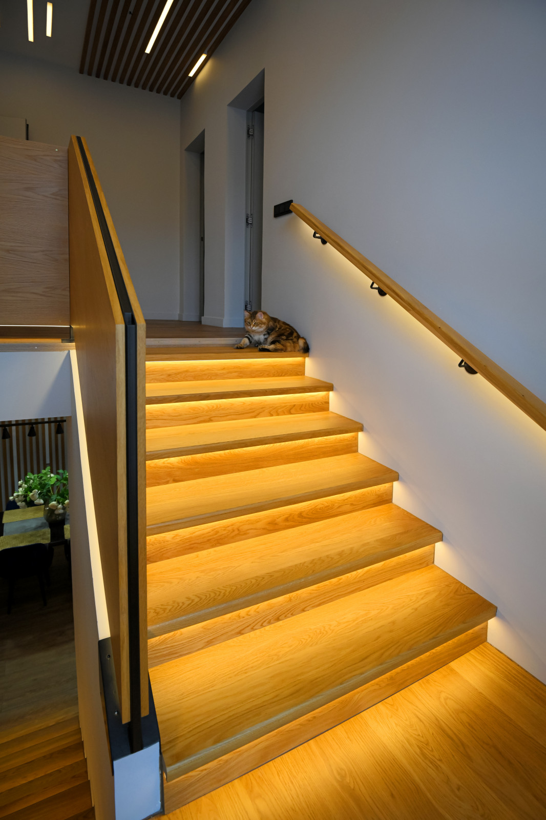 Коттедж в Чукреевке с природными фресками и рейками с подсветкой