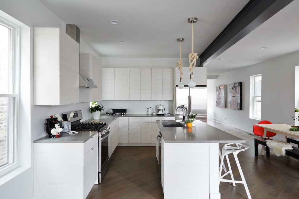 Kitchen - transitional kitchen idea in Chicago