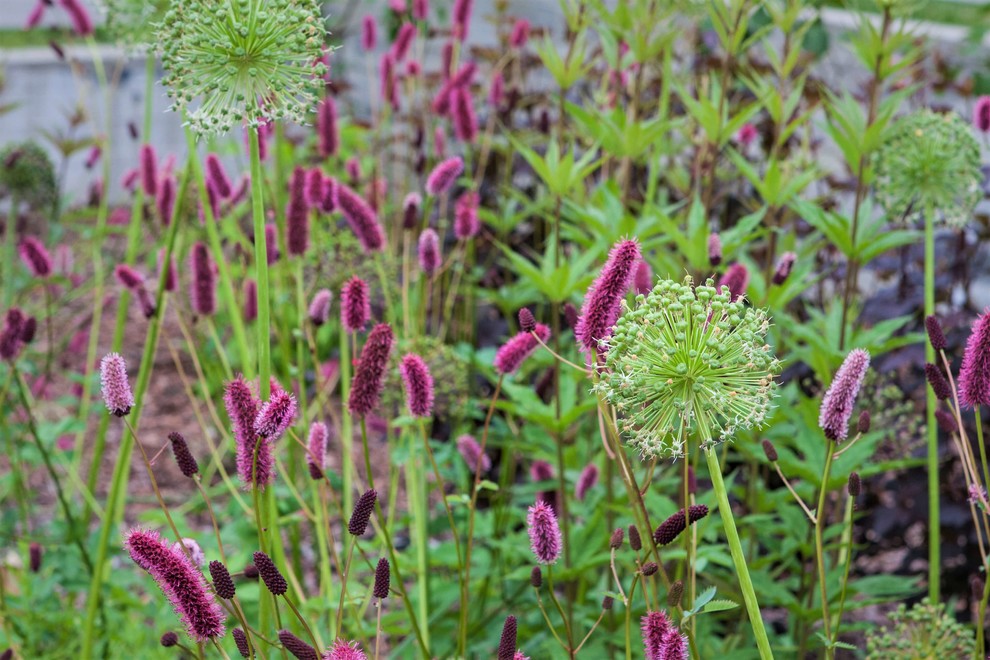 ПОЛЕТ ШМЕЛЯ