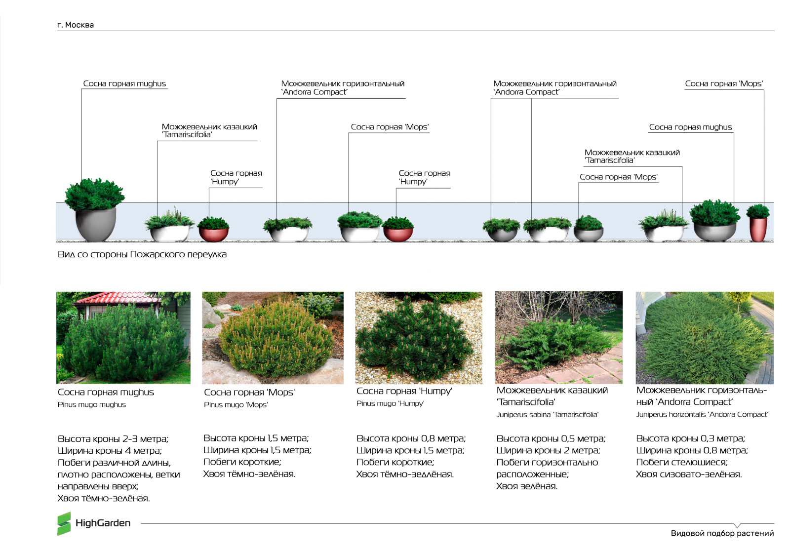 Видовой подбор растений