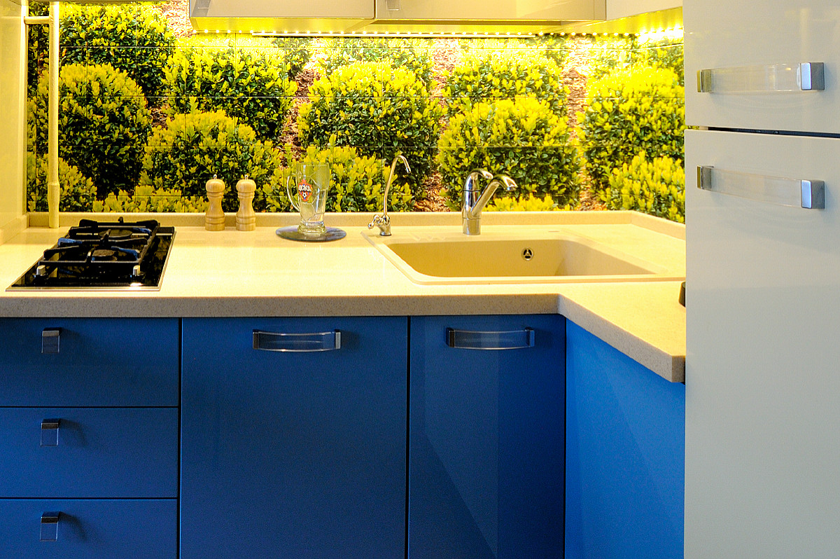 Город львов