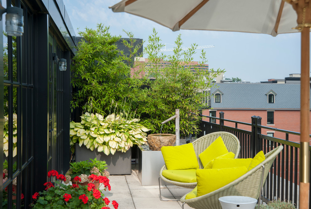 Inspiration for a contemporary rooftop and first floor deck in DC Metro with a container garden and no cover.