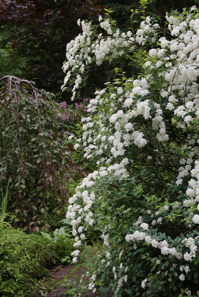 В гостях у леса