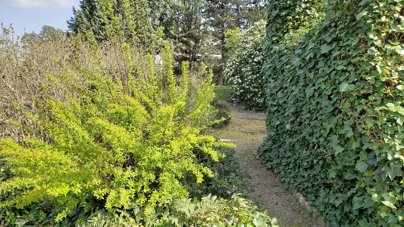 Jardín rústico