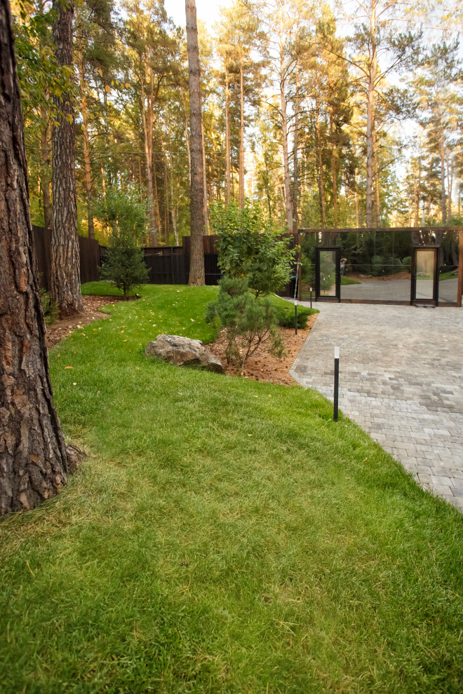 Ландшафт. Лесная погулка