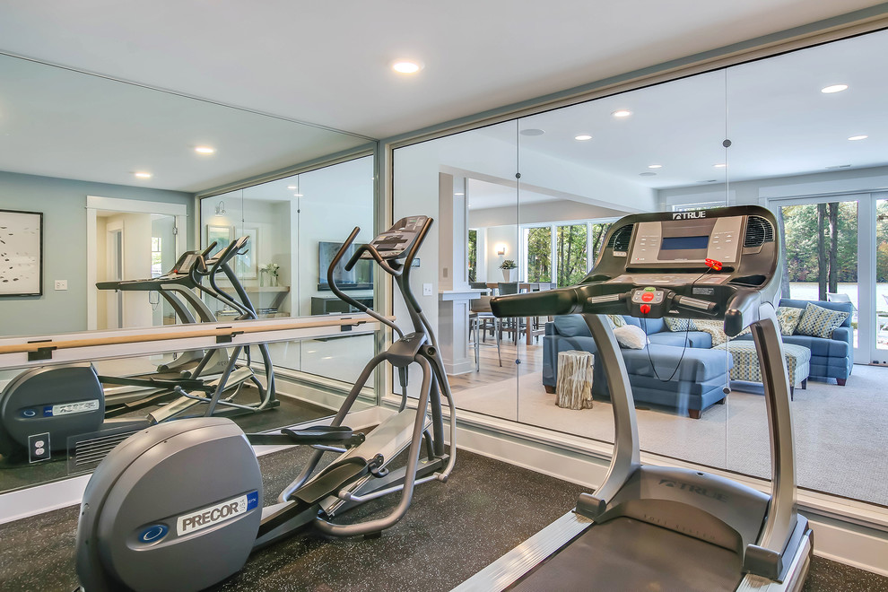 This is an example of a transitional home gym in Grand Rapids.