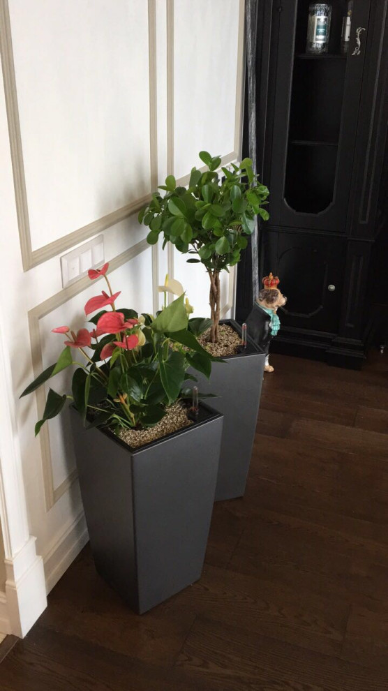 Квартира Семашко