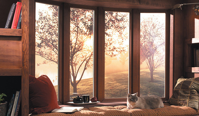 Window Replacements modern-wohnzimmer