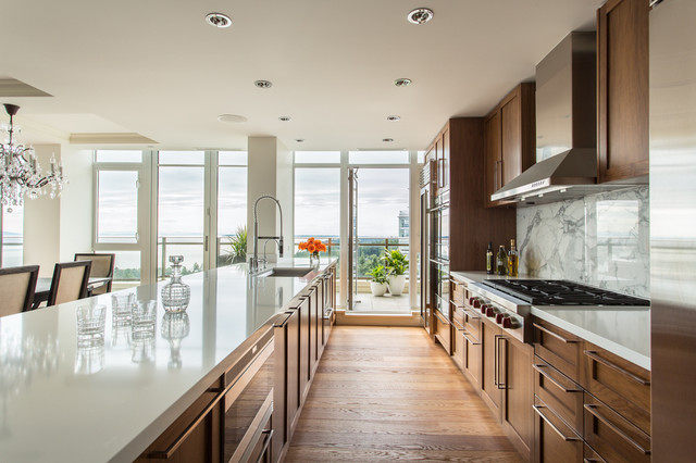 White Rock Penthouse trendy-koekken