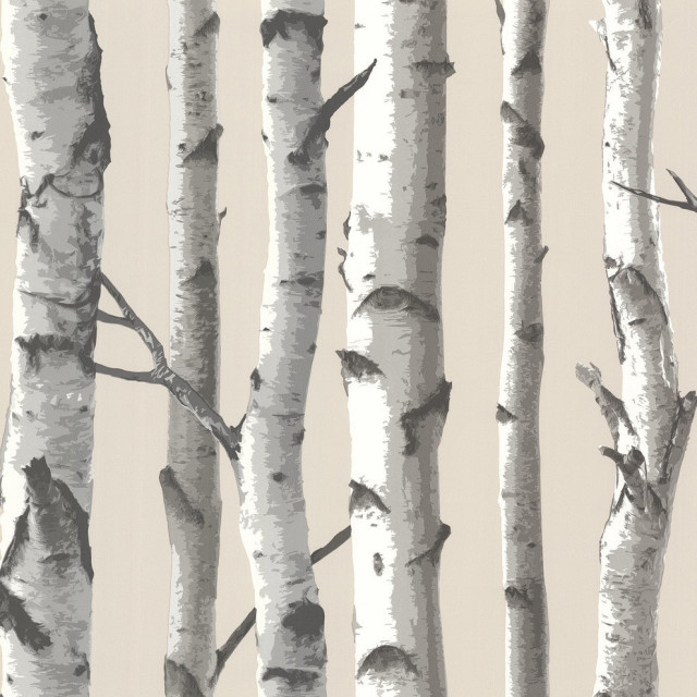 Tuxbury Beige Birch Tree Wallpaper, Bolt