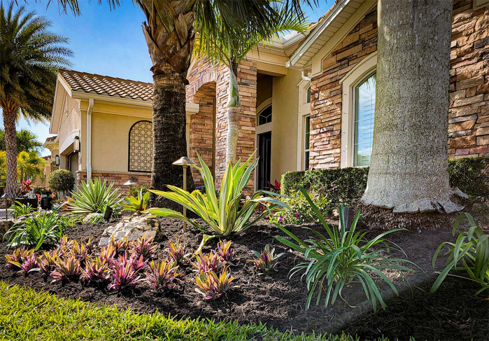 Design ideas for a tropical front yard xeriscape in Other.