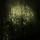 webuser_874962