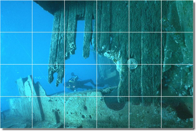 Underwater Photo Custom Tile Mural 5