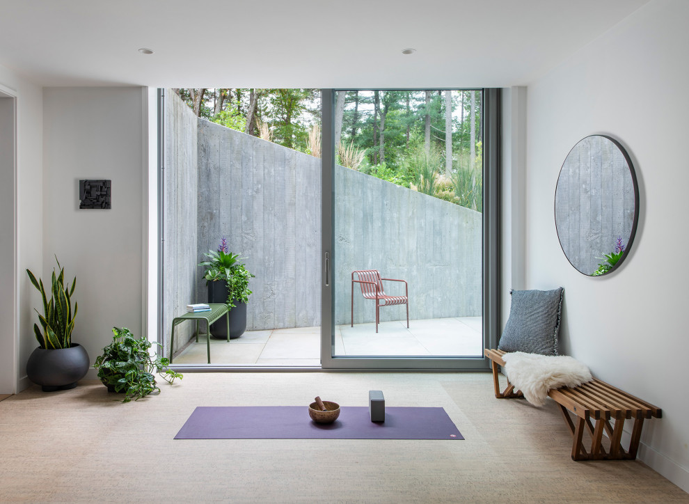 Example of a minimalist home gym design in Boston