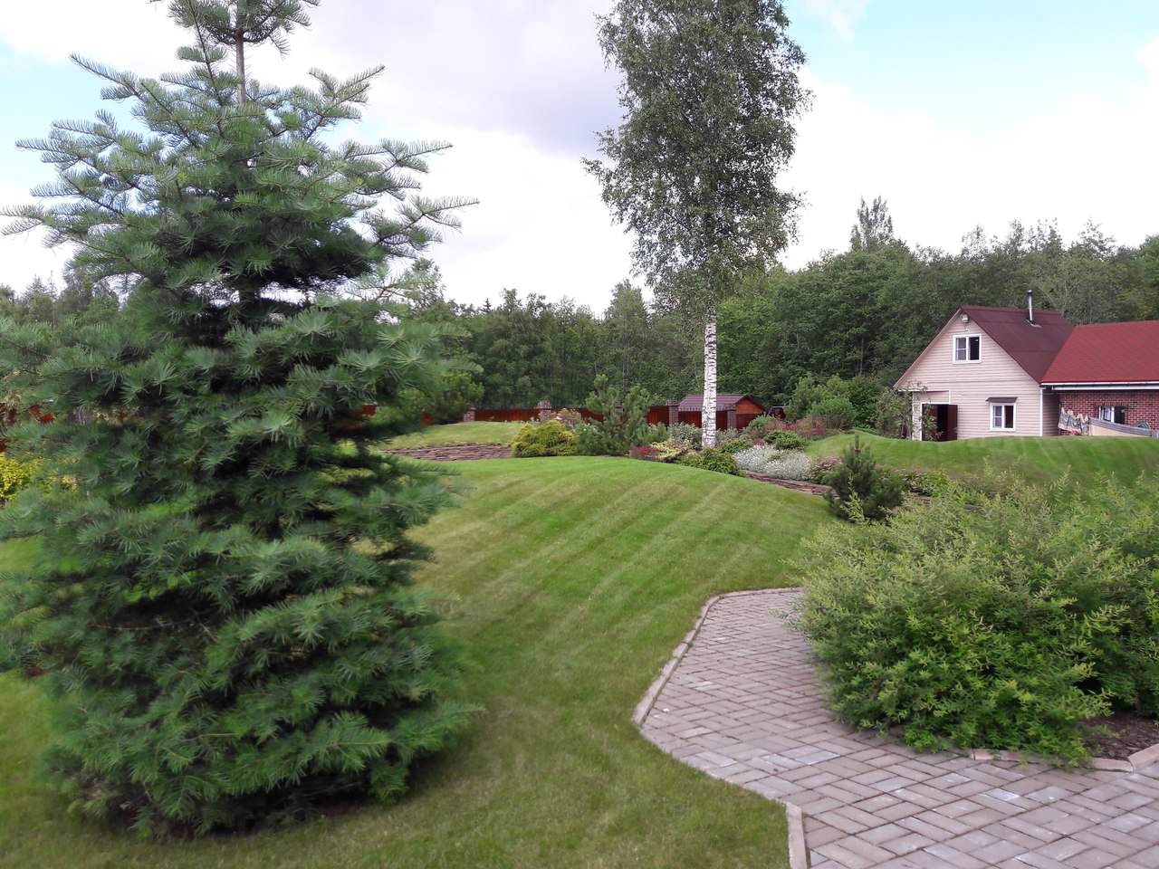 Сад  на холмах