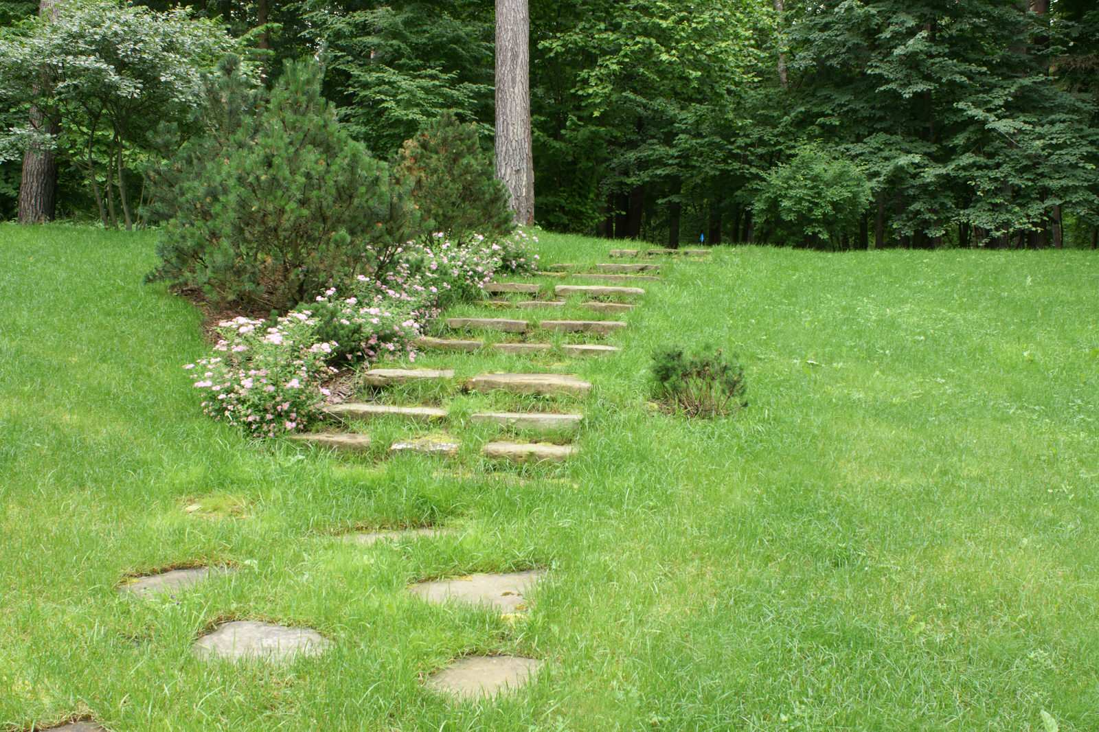 Частное землевладение "Жуковка"