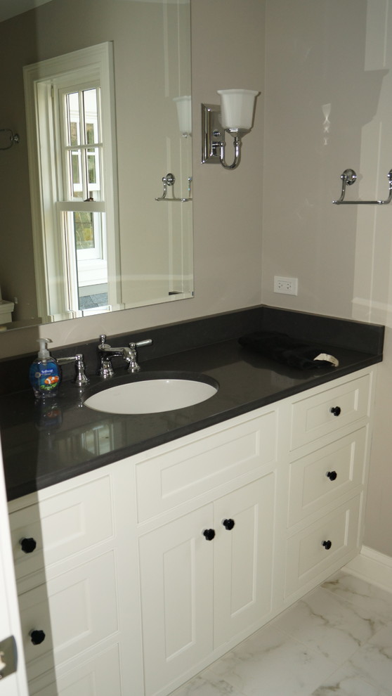 Transitional home design photo in Chicago