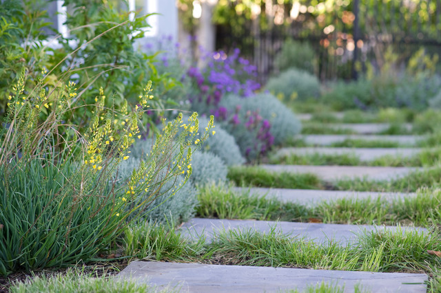 8 Drought-Sensitive Ways to Start a Garden