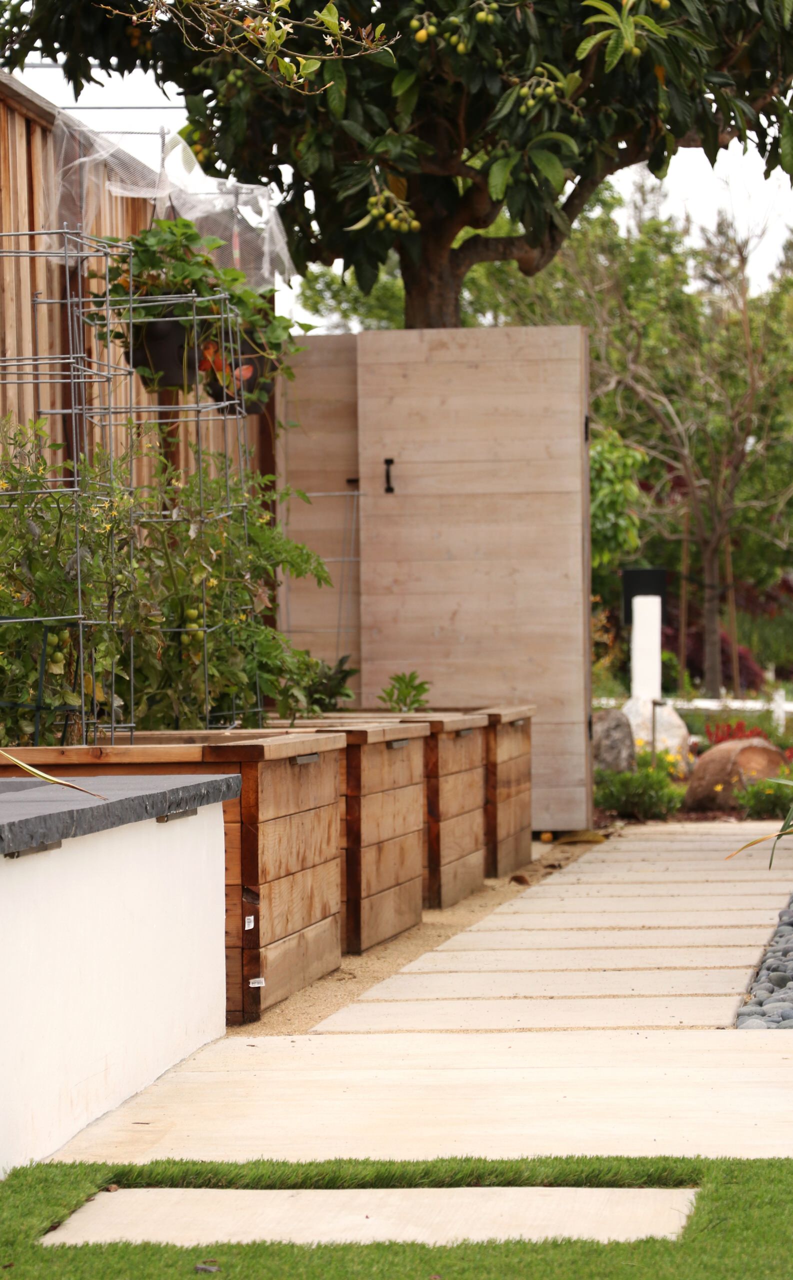 MODERN, MODERN, MODERN