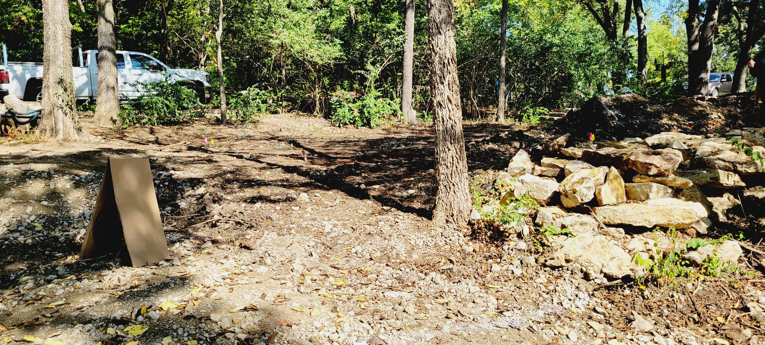 Woodland Restoration Before