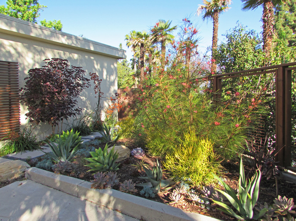 Inspiration for a large modern front yard full sun garden for summer in Los Angeles with concrete pavers.