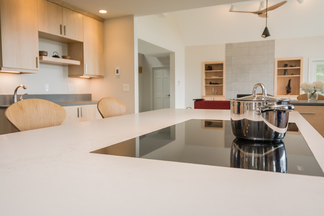 Full-Access Contemporary Kitchen trendy-koekken