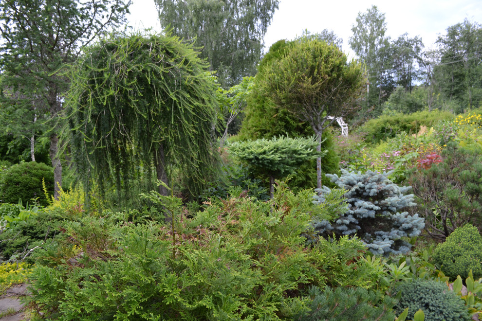 Сад  «Моя цветущая планета».